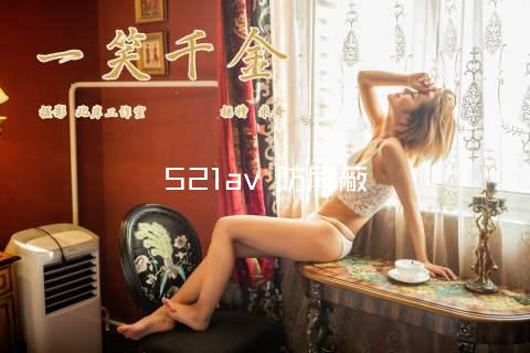 521av 防屏蔽